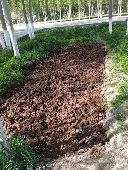 Biogumus-organik chiqindilar va Kaliforniya qizil chuvalchangi sotamiz