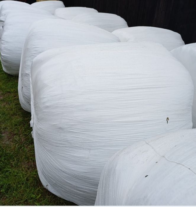 Vând porumb, cartofi , grâu , lucernă infoliat