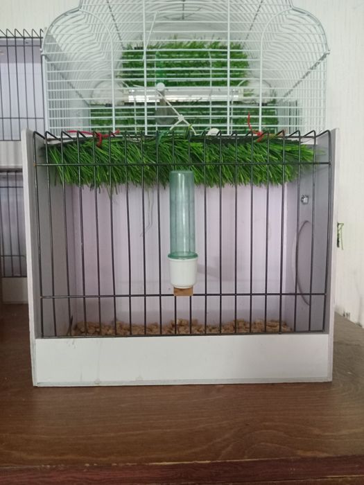 Клетки разные для птиц.