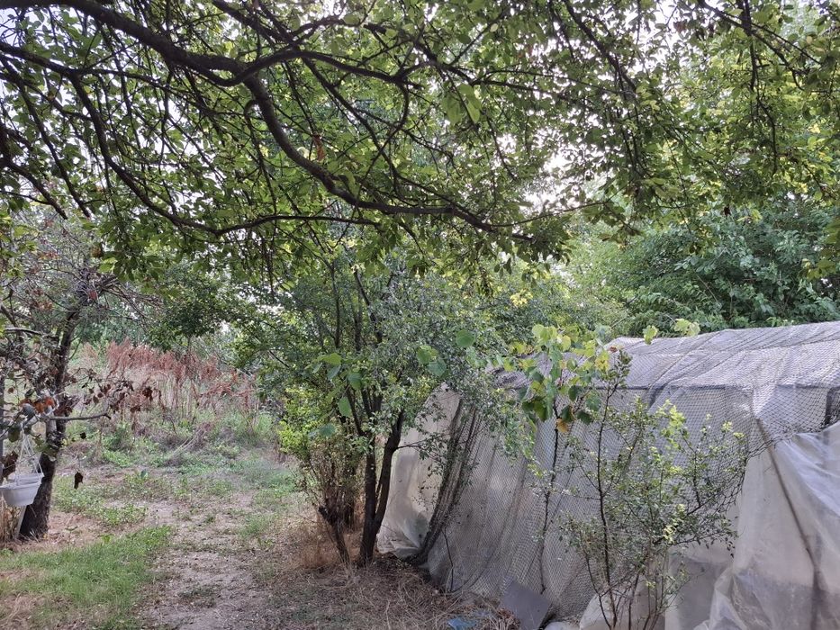 Vand teren 4000 MP - Cheia/ Cheile Dobrogei, judetul Constanta