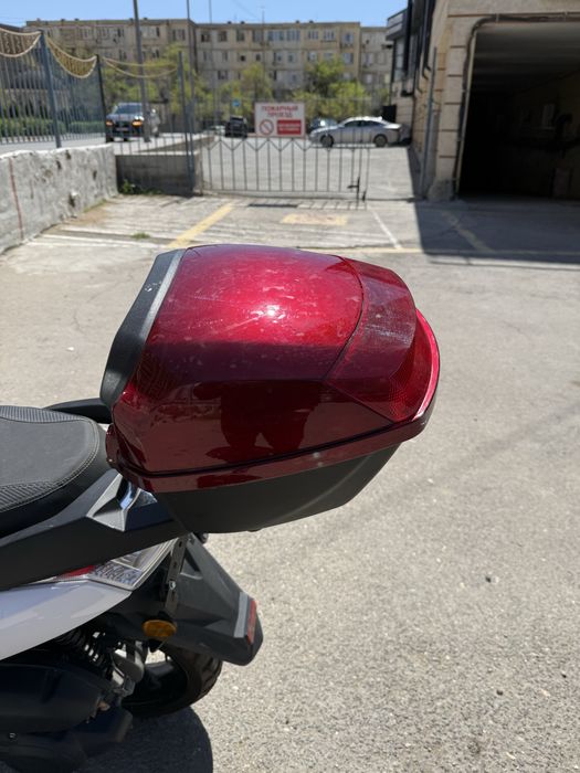 Продается мопец Алмотор