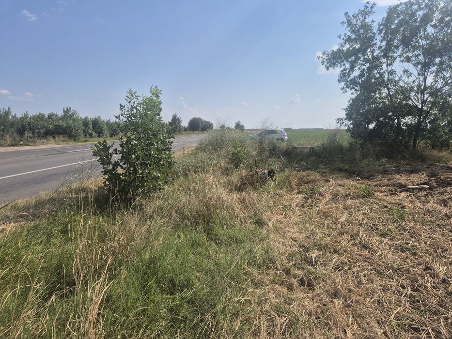 Teren Cioranca E85