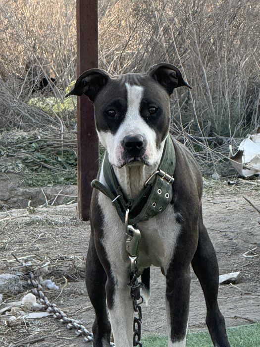 Обмен или продажа