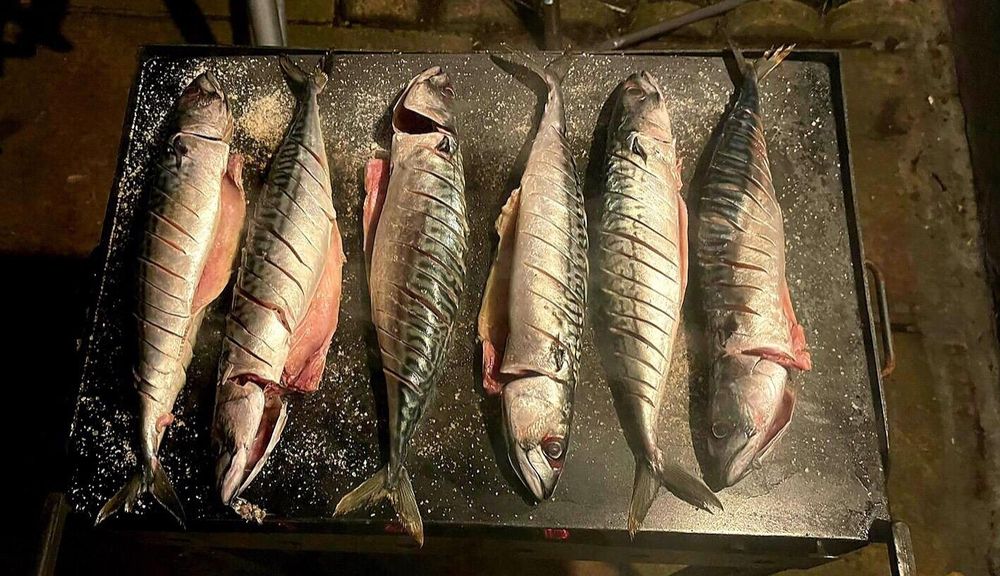 Gratar grill de gradina cu trei nivele si optional plita!