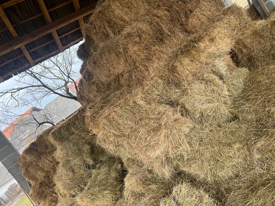 Vând baloți de fân