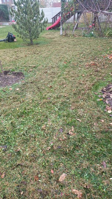 Grădinar Scarificarificam gazonul dumneavoastră