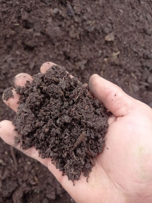 Tabiiy chim va ajriq