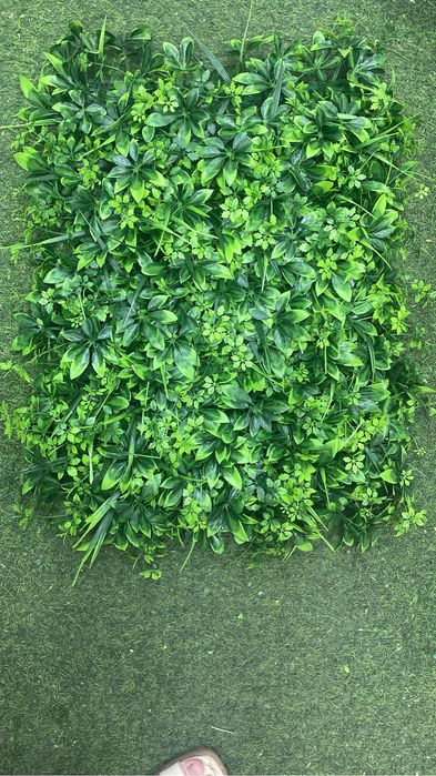 самшит , газон , искусственные коврик