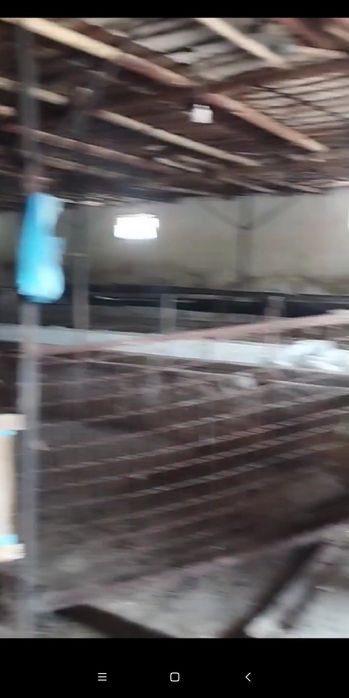 Ferma sotiladi Mol Qoy Ot boqsa boladi 9 sotik