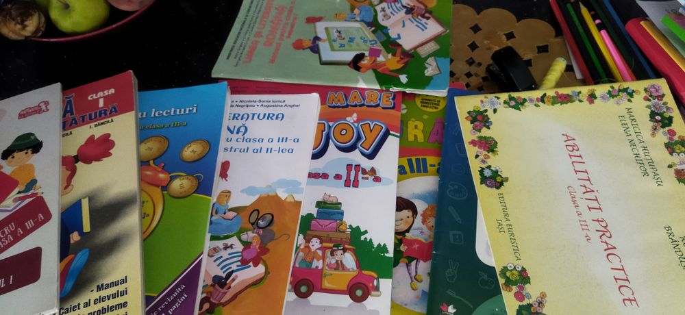 Lot 12 auxiliare, clasele 2 și 3