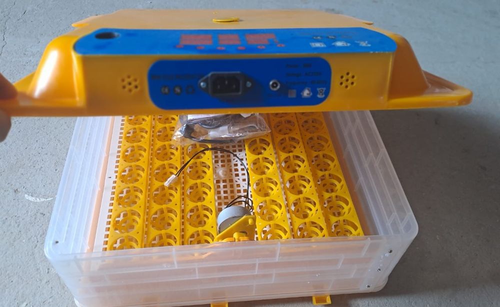 Инкубатор Бизон 56 Жұмыртқалық