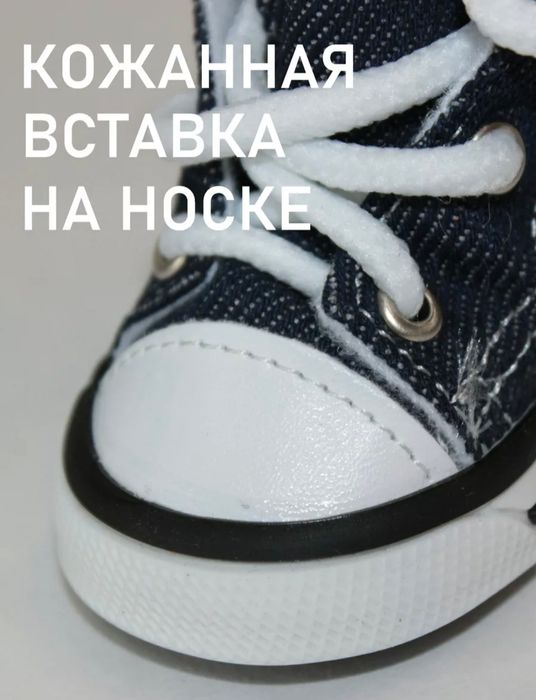 Кеды (обувь) для собак! Размер 2