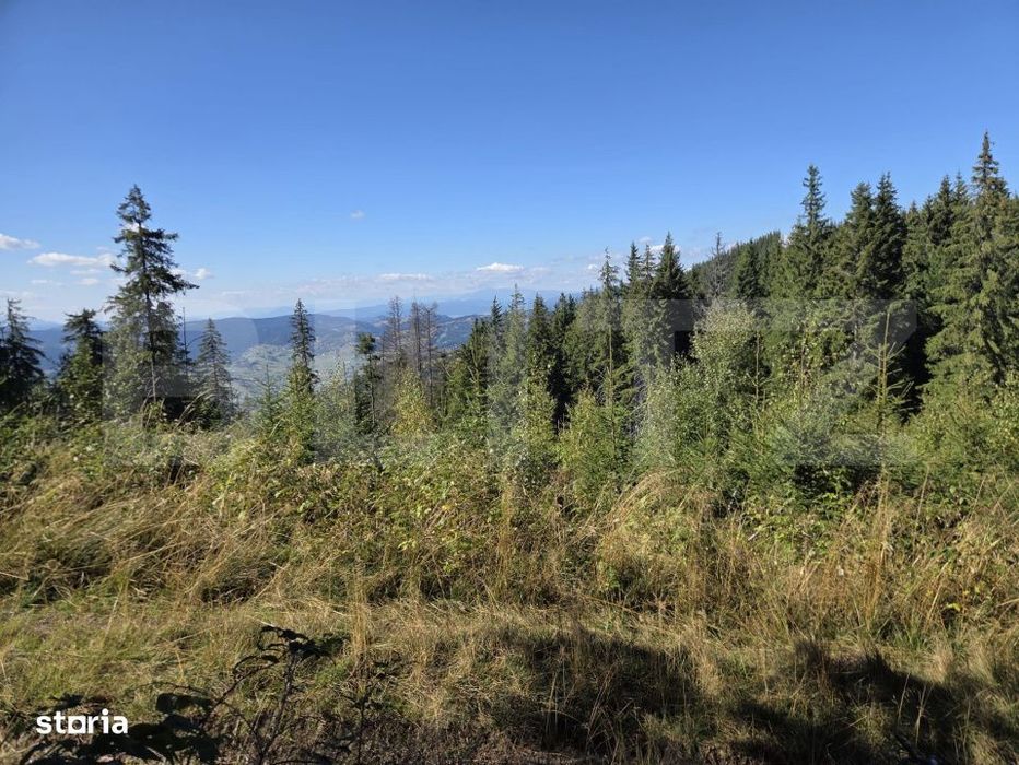 Teren extravilan, 29.125 mp, zona Panaci - Vatra Dornei