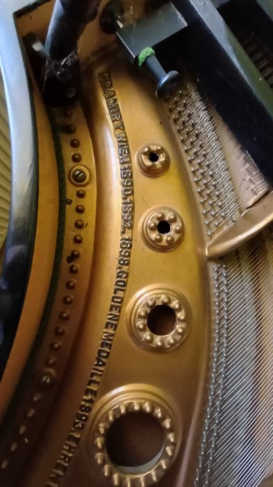 Pian cu coada vienez Stelzhammer