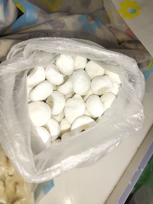 Майлы ешки курты