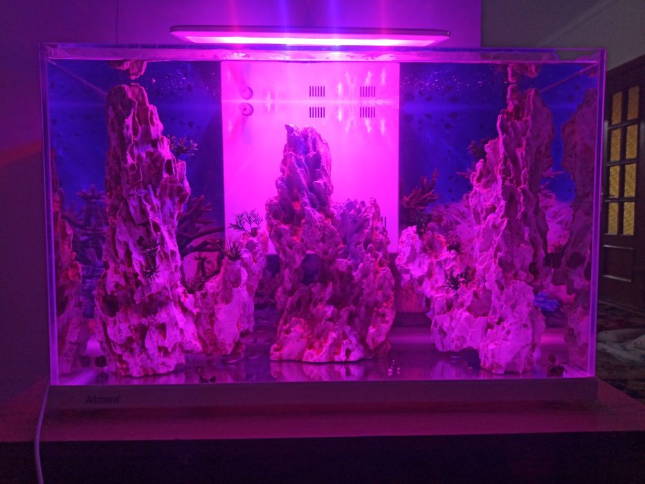 Akvarium sotiladi razmeri 90 .37. 55 soni 2 ta .