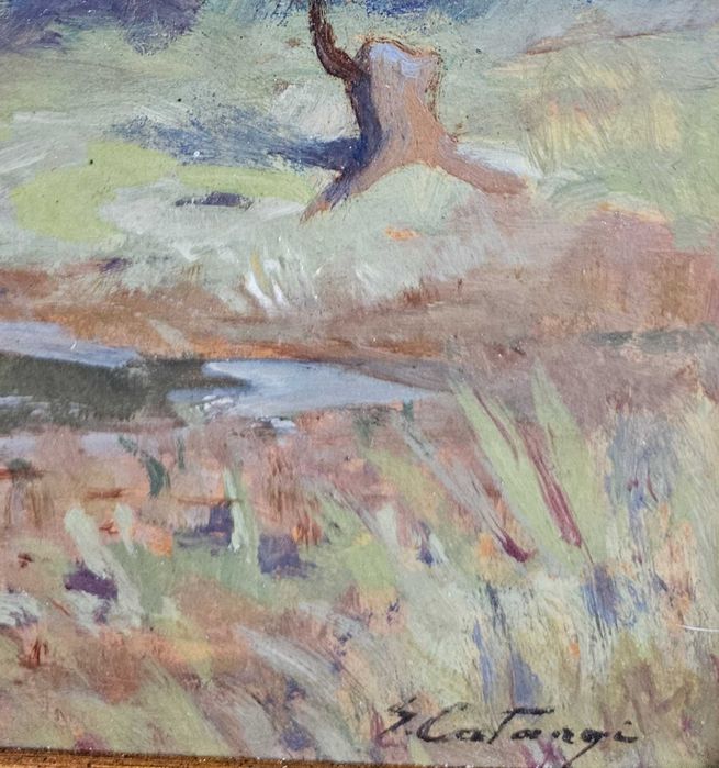 George Catargi - Tablou