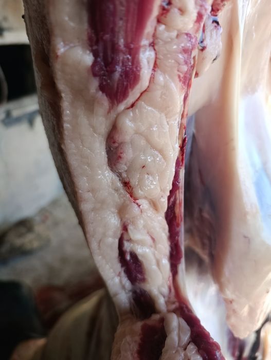 Продаем мяса конина табактап