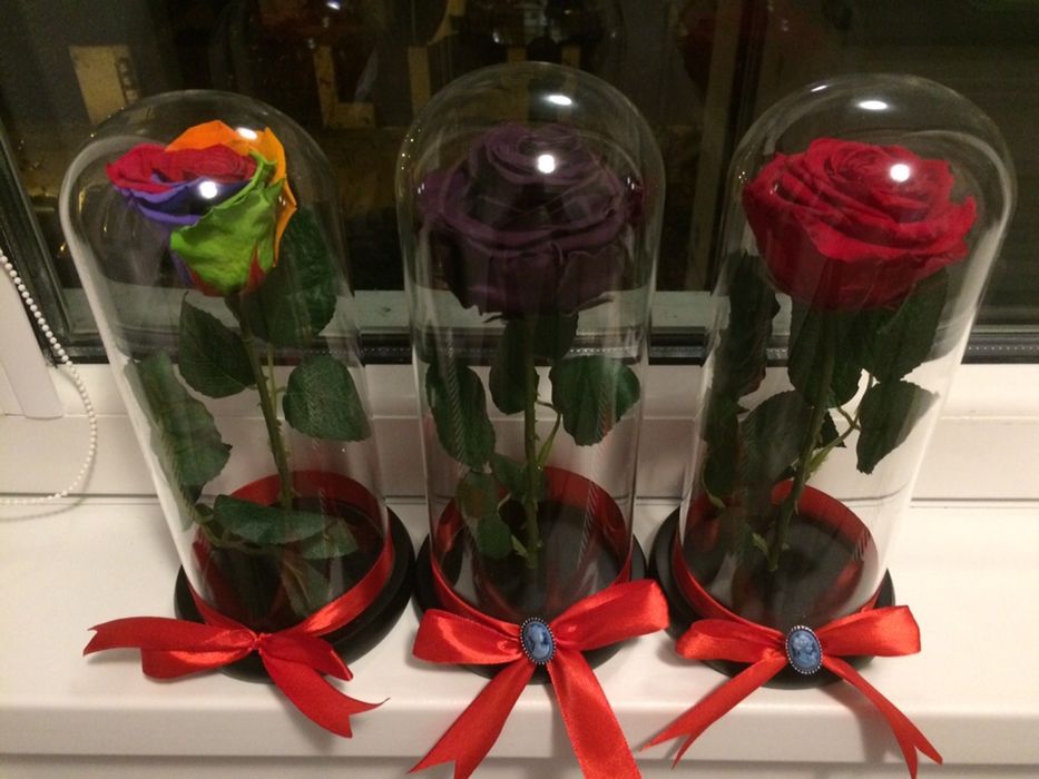 Trandafir criogenati conservati cadou