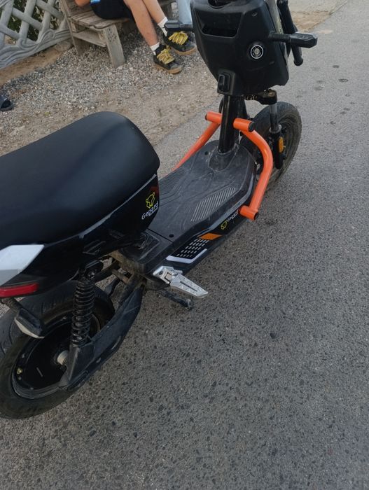 Gepard Murano 2026