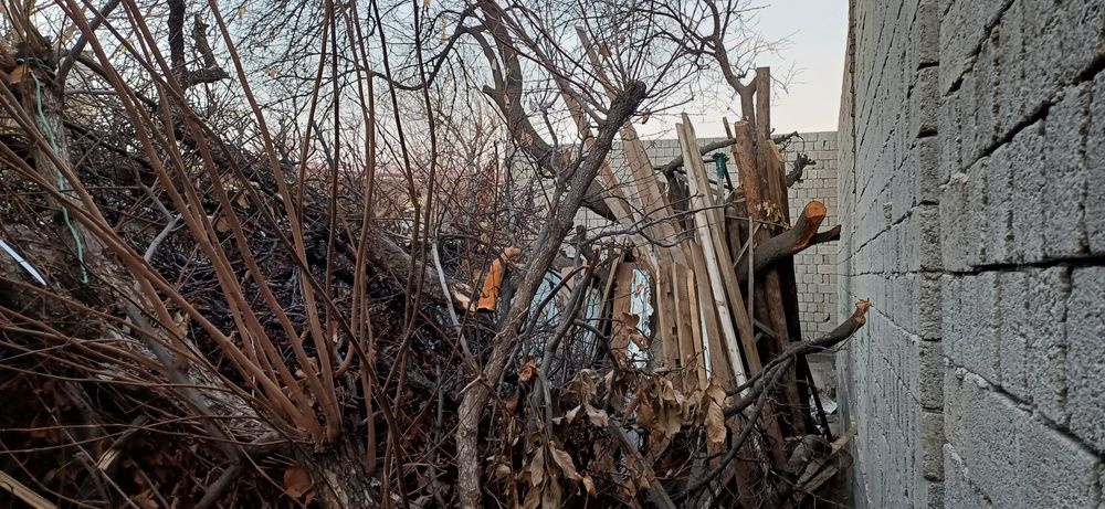 O'tin Дрова Сотилади