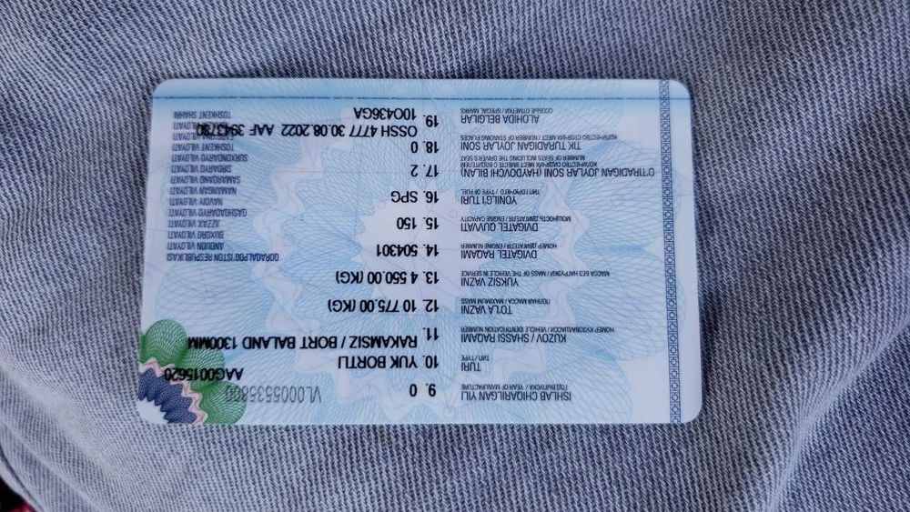 zil yangi holati alo