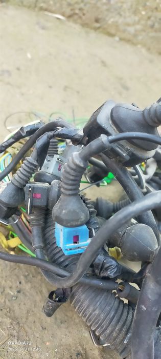 Коса провыт жағдай жақсы