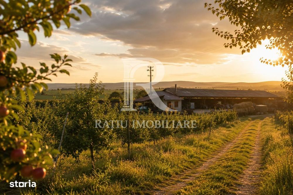 Activ agricol integrat | 67,5 ha | Oportunitate investițională