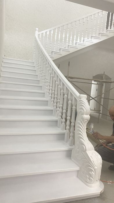 Лесниса ясимис сиз хохлаган турда