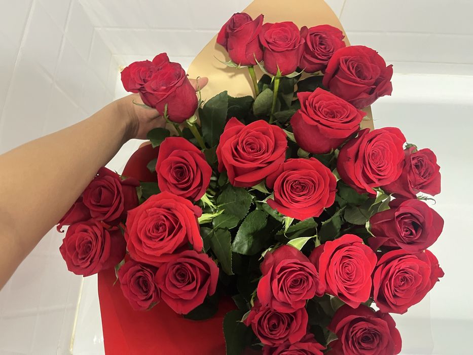 Голландский роза