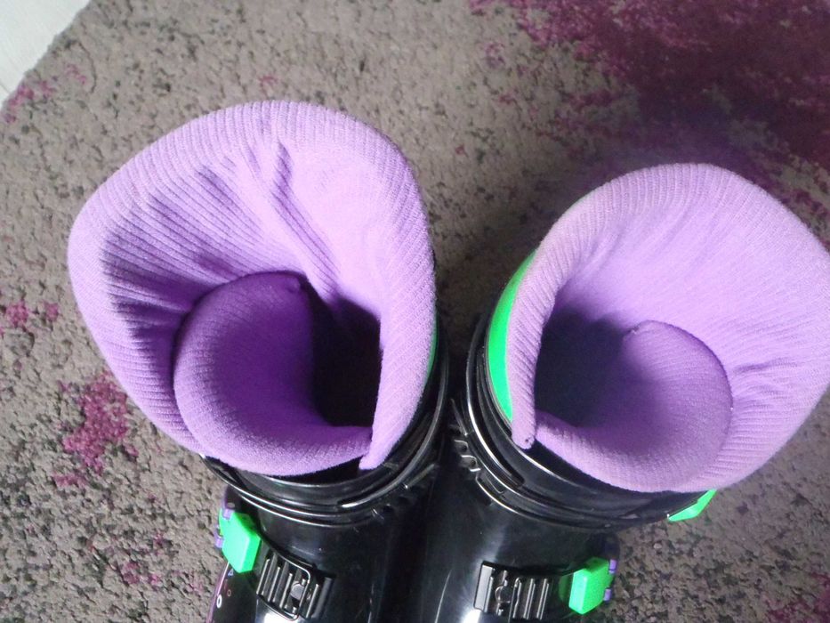 Sled Dogs,snowskates