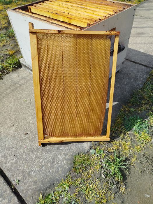 Rame stupi 1/1 clădite