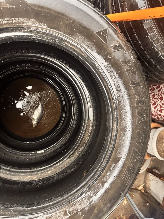 Резина шины зимние