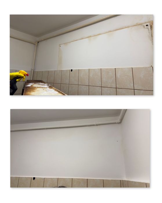 Servicii de curațenie profesională - Bucuresti - Buzau