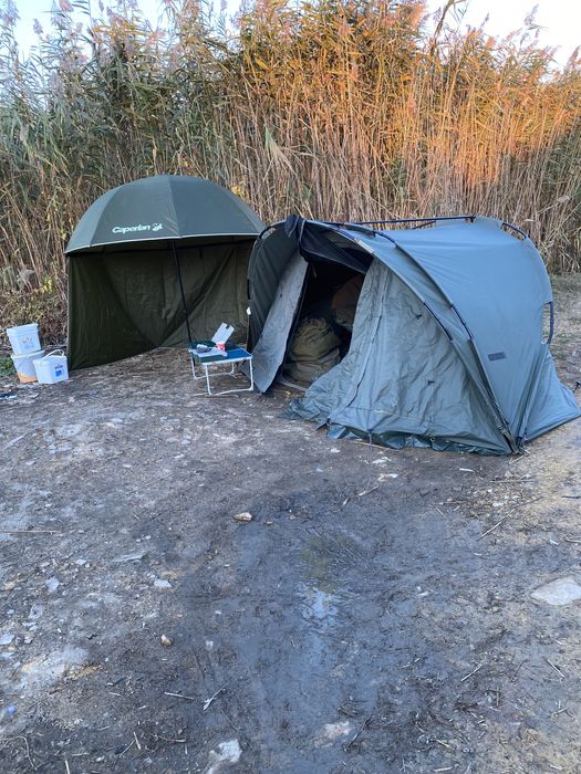 Cort fox royale euro dome 1 man