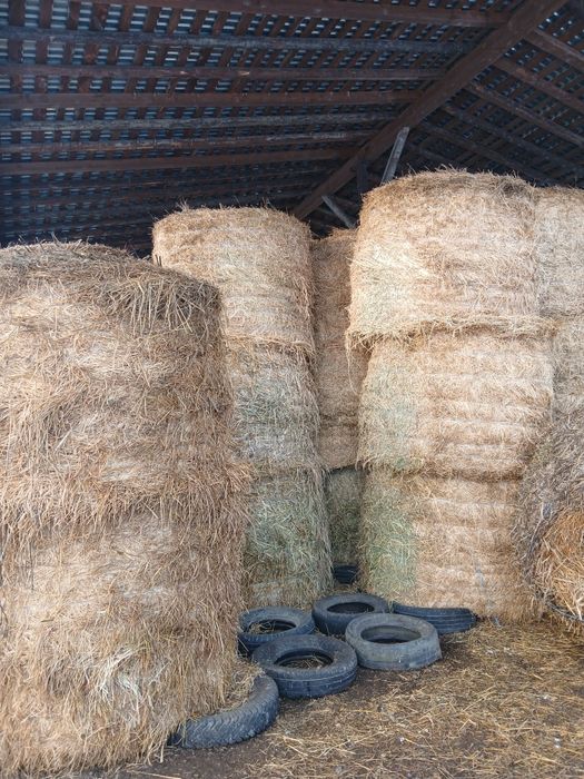 Baloti rotunzi de lucernă