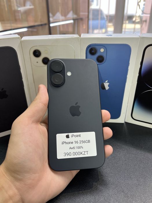 iPhone 16 256GB 100%