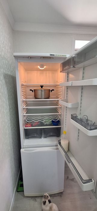 Атлант 5013 (2 камеры, 195 см)