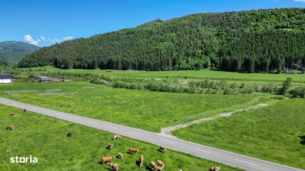 Teren intravilan 1269 mp cu priveliste la 12 km de zona Bran-Moeciu.