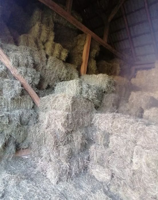 Baloti de lucerna si fan de vanzare!