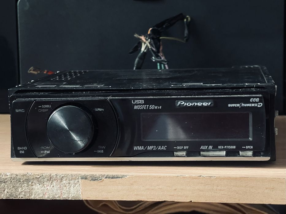 Дельфин пионер мафон