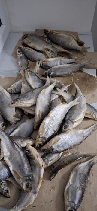 Кепкен Рыбец сатылады