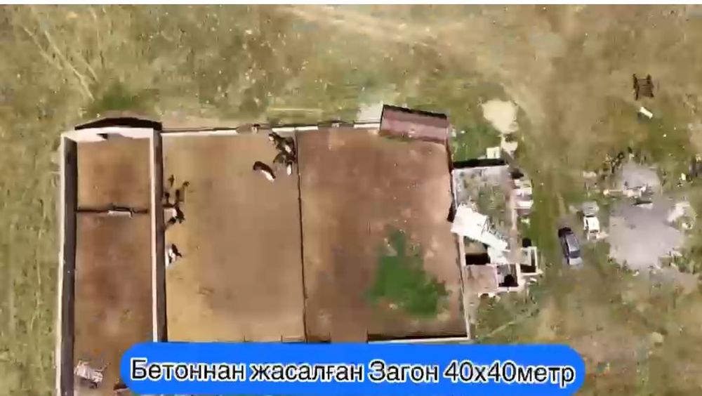 Крестьянское хозяйство