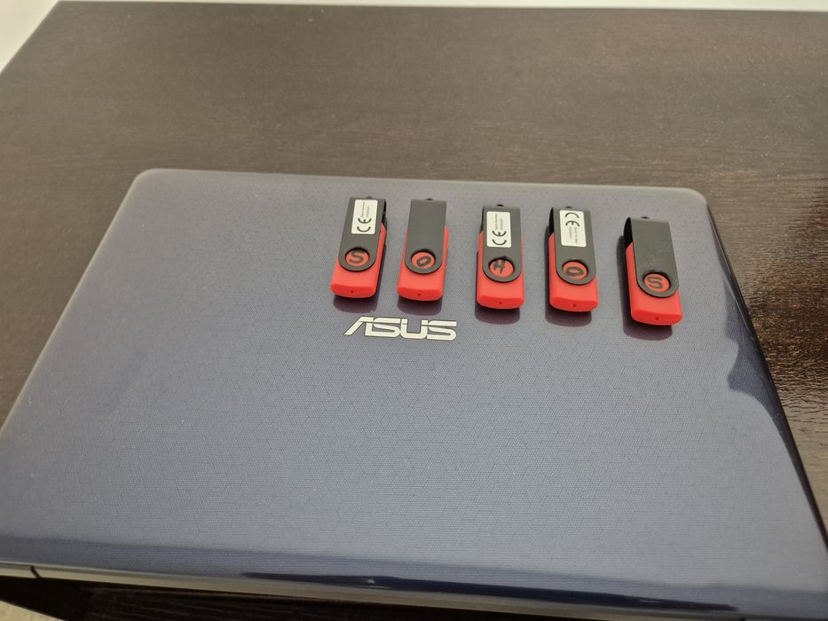 Stick-uri USB cu Cântece pentru Canari și Hibrizi