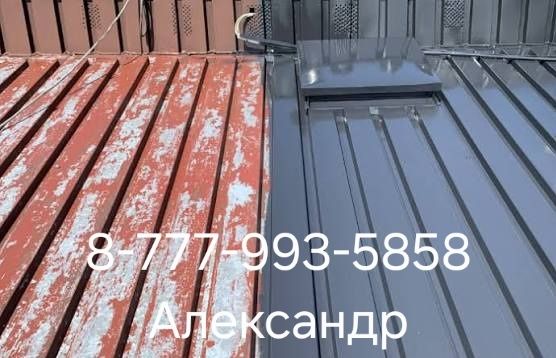 Покраска крыши, Покраска Домоа
