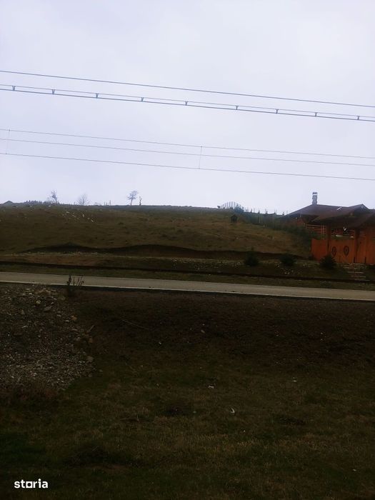 Teren 1600 mp Paltinoasa intravilan