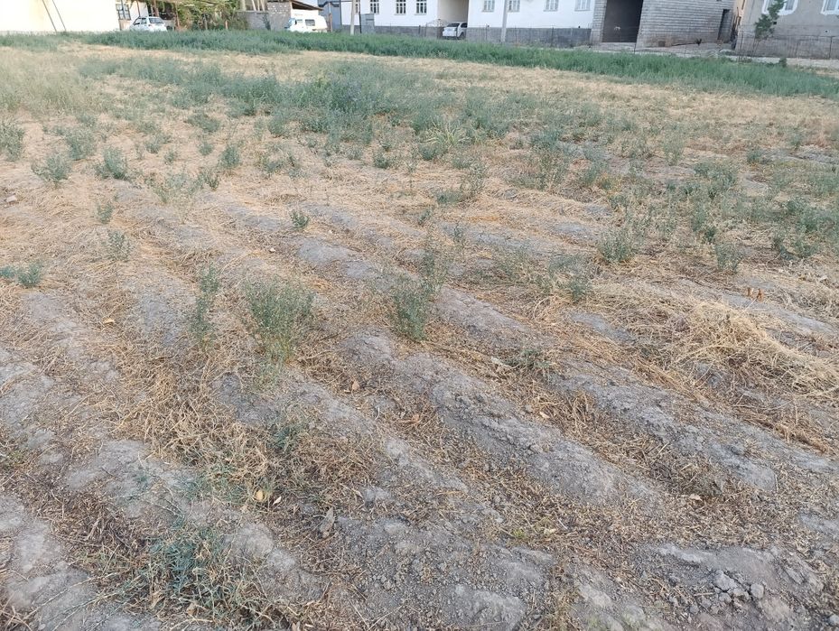 Uy qurishga yer sotiladi urtasaroy navruzdan 4km