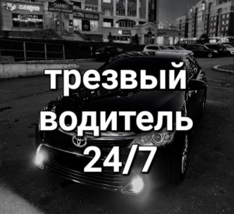 Трезвый водитель