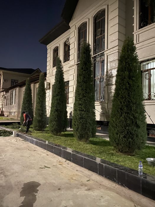 Lanshaf gazon bosish archa kesish xizmatlari bor