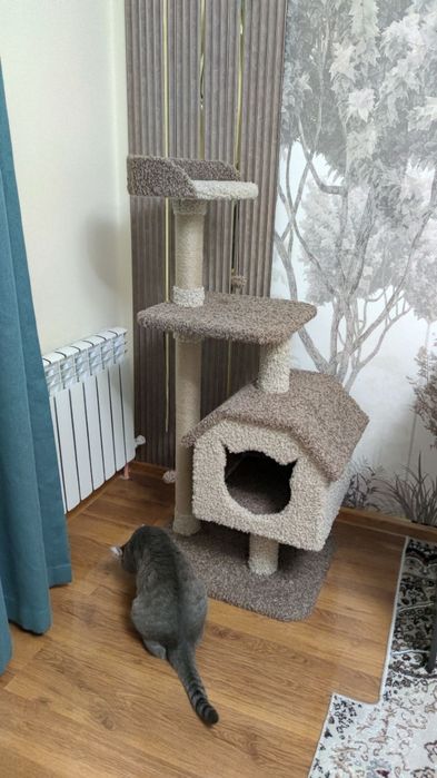 Домик для кошек. Когтеточка кошки. Есть выбор